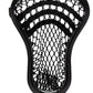 Stallion 1K Apollo 2026 STRUNG Complete
